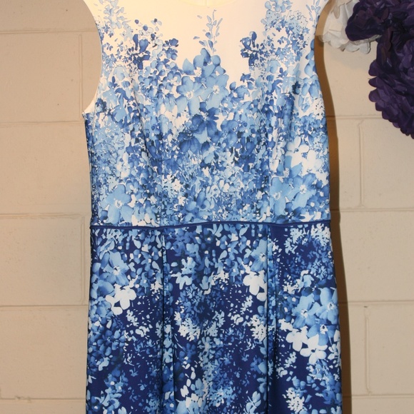 Sandra Darren Dresses & Skirts - Blue and White Floral Print Dress
